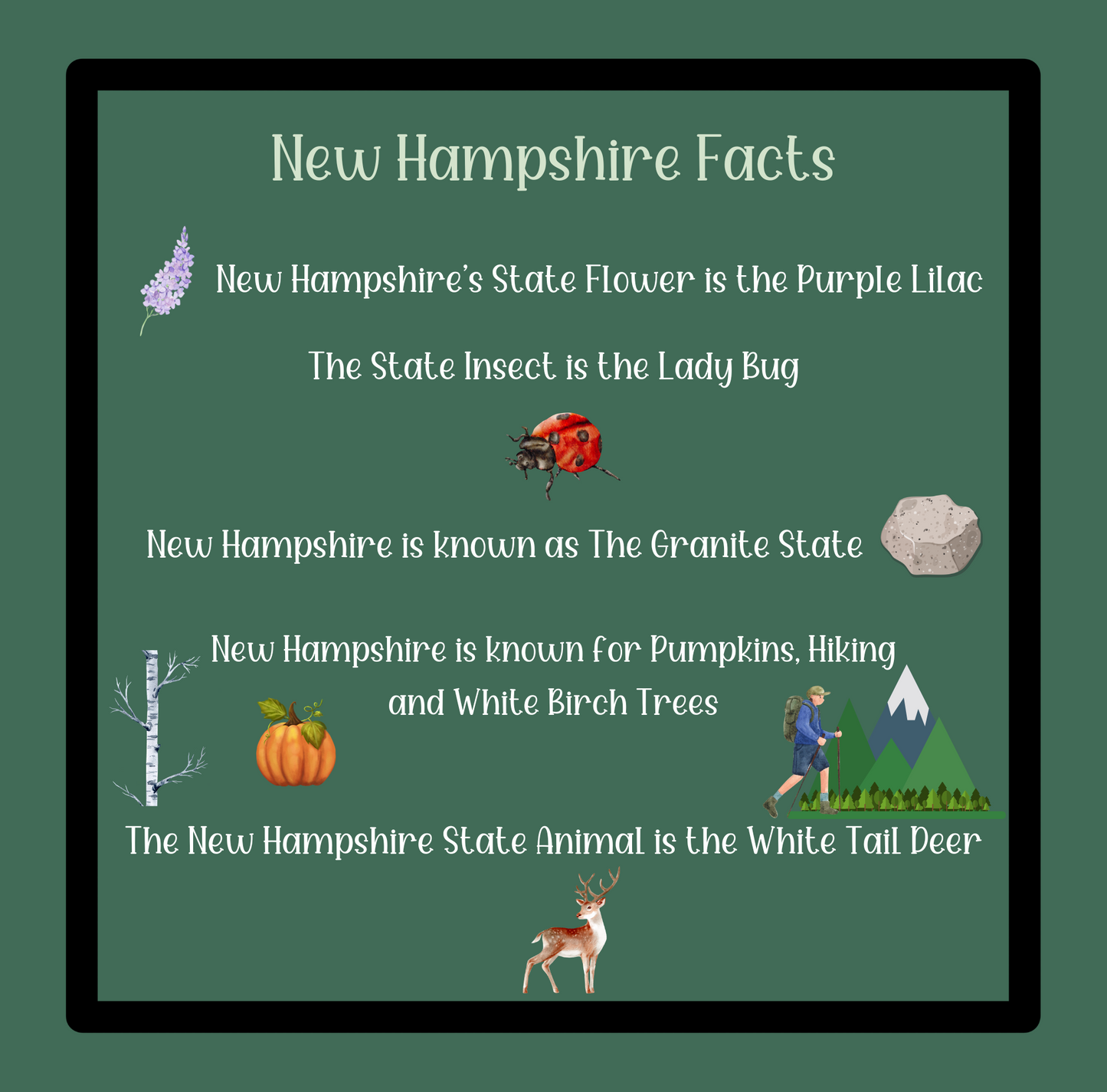 See You in the Morning New Hampshire